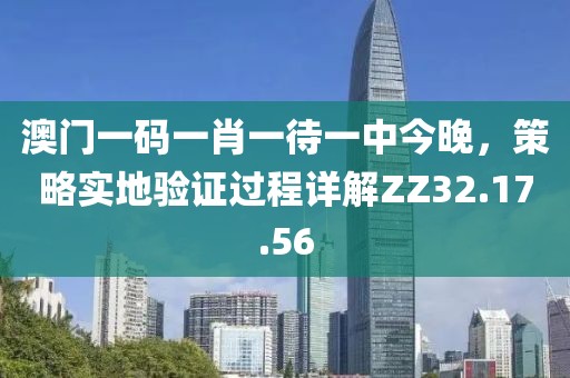 澳门一码一肖一待一中今晚，策略实地验证过程详解ZZ32.17.56