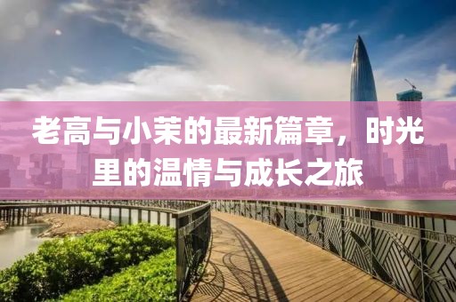 老高与小茉的最新篇章，时光里的温情与成长之旅