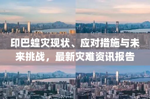印巴蝗灾现状、应对措施与未来挑战，最新灾难资讯报告