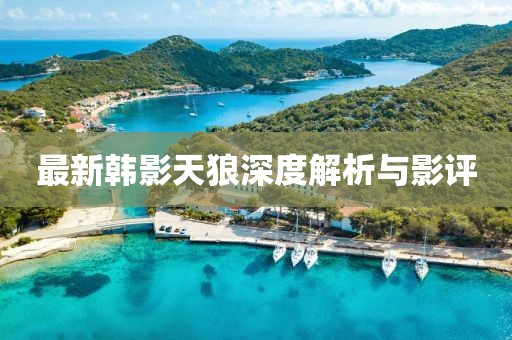 最新韩影天狼深度解析与影评