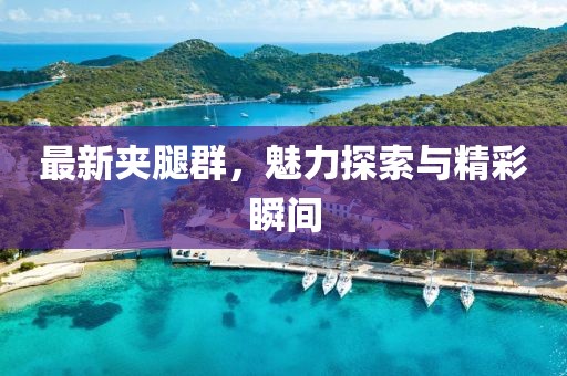 最新夹腿群，魅力探索与精彩瞬间