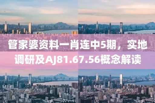 管家婆资料一肖连中5期，实地调研及AJ81.67.56概念解读