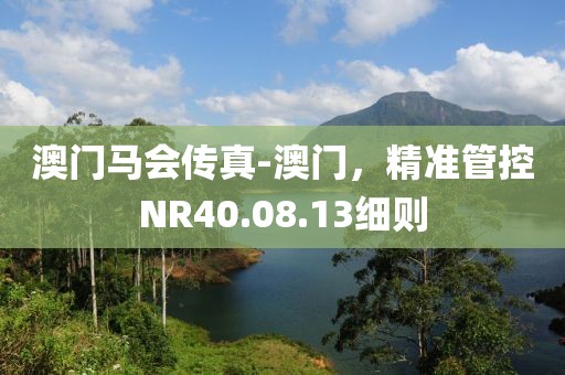 澳门马会传真-澳门，精准管控NR40.08.13细则