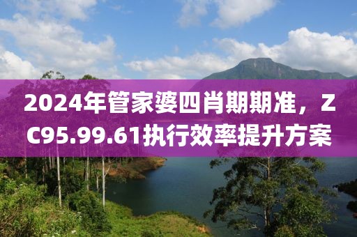 2024年管家婆四肖期期准，ZC95.99.61执行效率提升方案