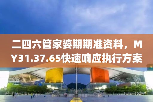二四六管家婆期期准资料，MY31.37.65快速响应执行方案