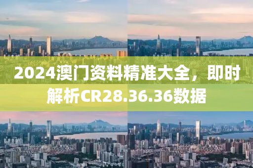 2024澳门资料精准大全，即时解析CR28.36.36数据