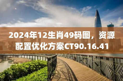 2024年12生肖49码图，资源配置优化方案CT90.16.41