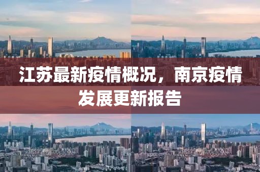 江苏最新疫情概况，南京疫情发展更新报告