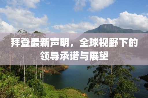 拜登最新声明，全球视野下的领导承诺与展望