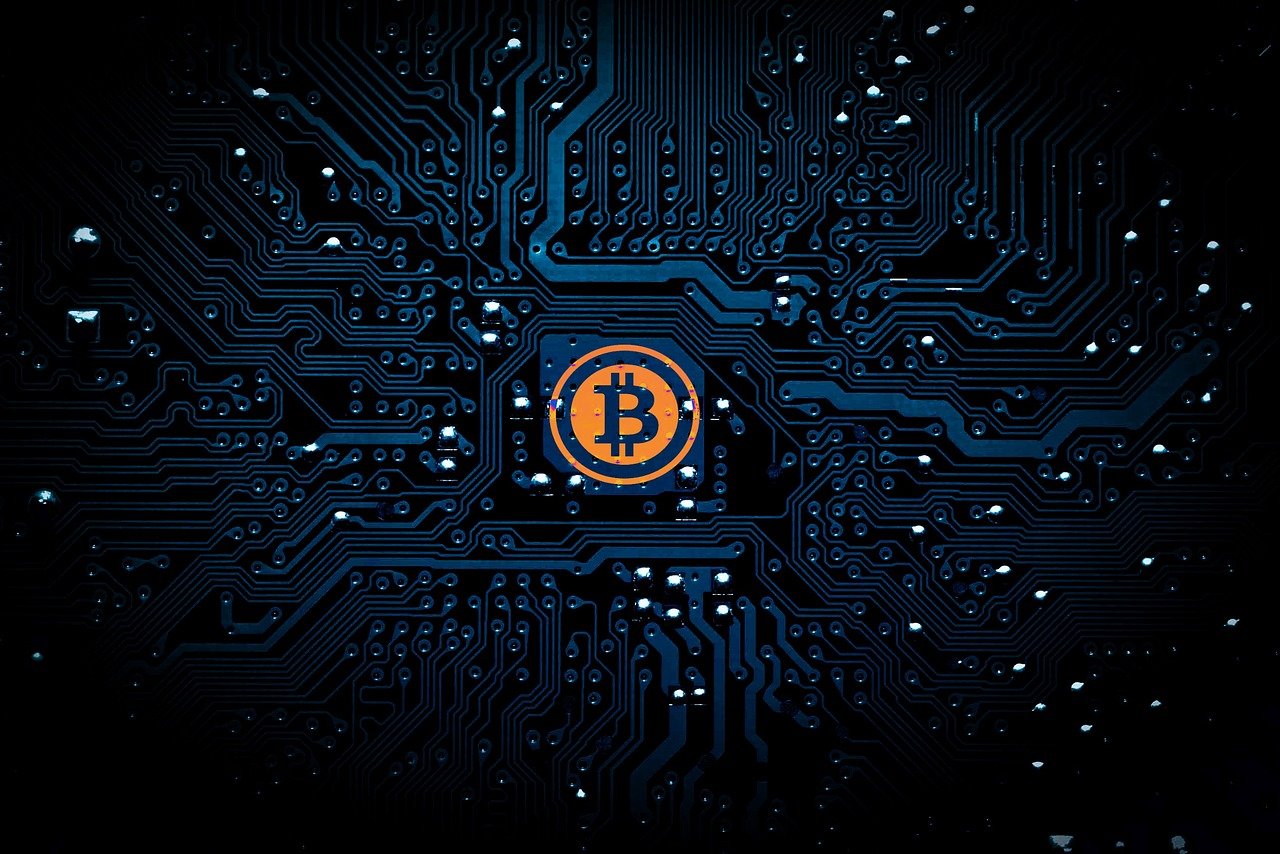 最新趣网站，探索现代网络世界的无限魅力