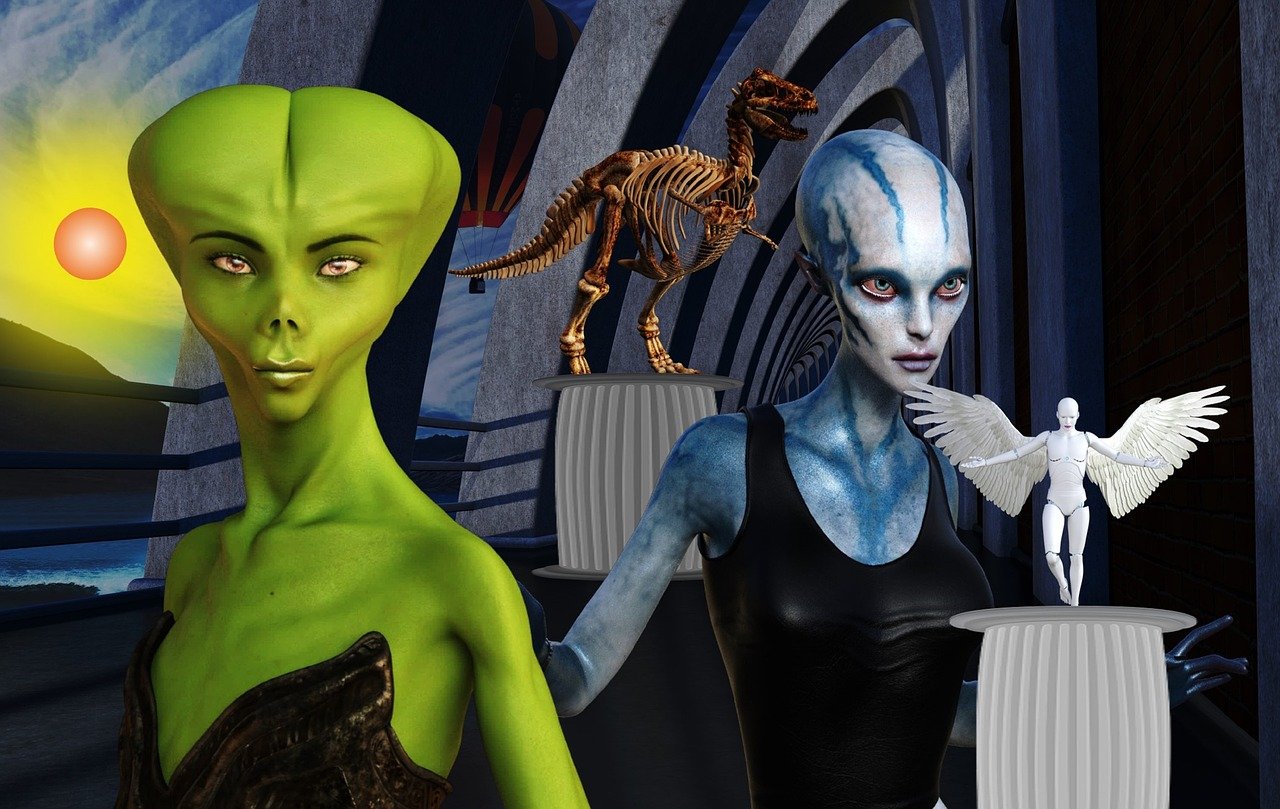 木瓜最新小说,奇幻世界新篇章探索