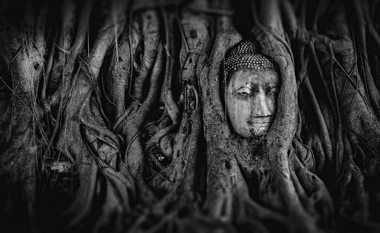 揭秘神秘世界的奇幻之旅，万相之王最新动态速递
