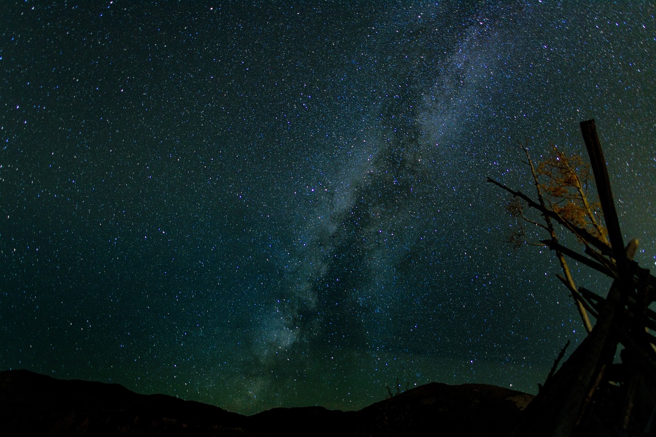 处女座女明星的独特魅力，闪耀星空的璀璨之星