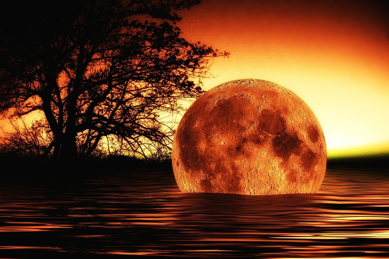 五月小倩探秘动漫世界